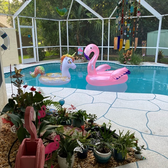 Meet your Posher, Cathy - Picture 4 of 8